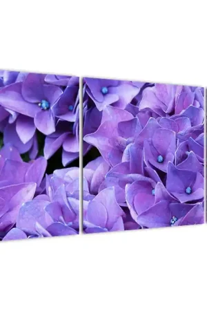 Szybka dostawa Schilderij - Paarse bloemen