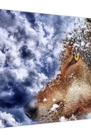 Rabat Schilderij - Wolf