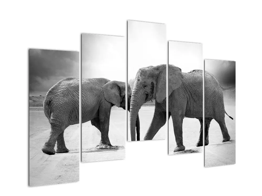 Schilderij - Olifanten Wyprzedaż