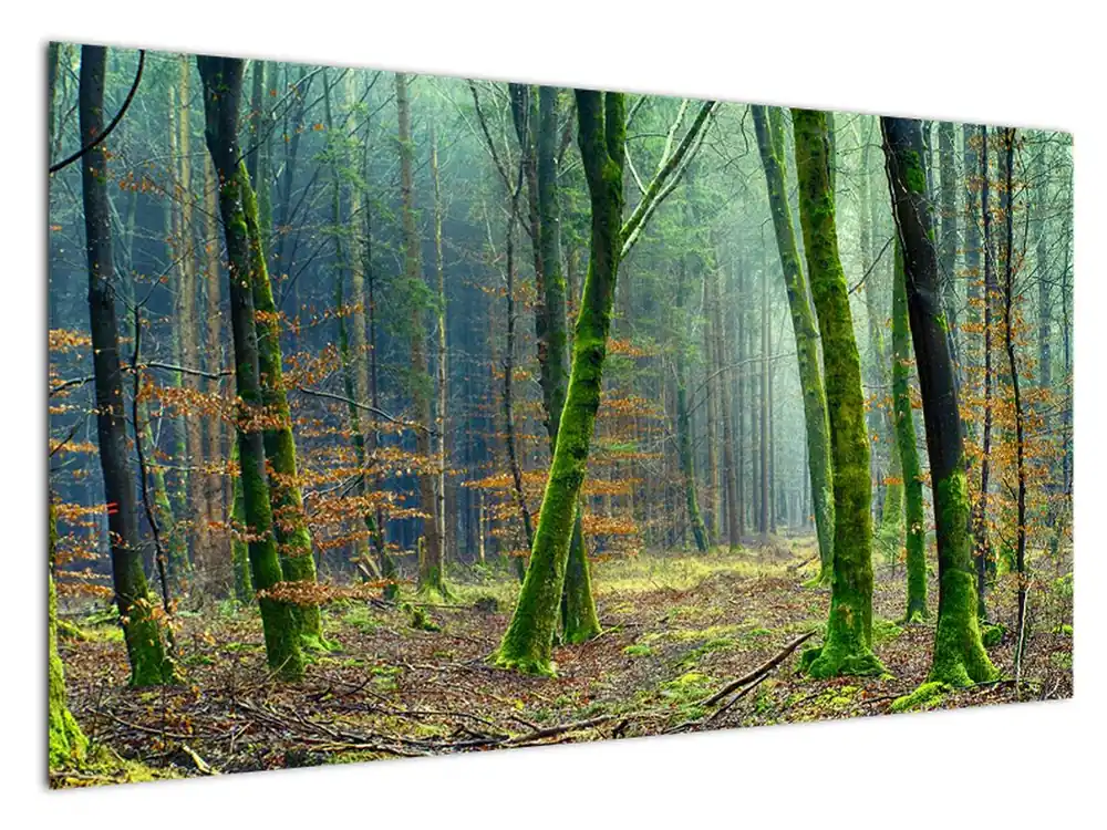 Oferta limitowana Schilderij - Bos