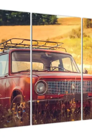 Schilderij - Auto in het veld Szybka dostawa