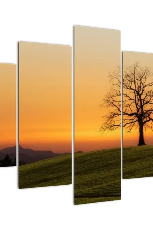 Oryginalny Schilderij - Weiland bij zonsondergang