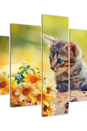 Premium Schilderij - Kitten kijkt naar een bloem