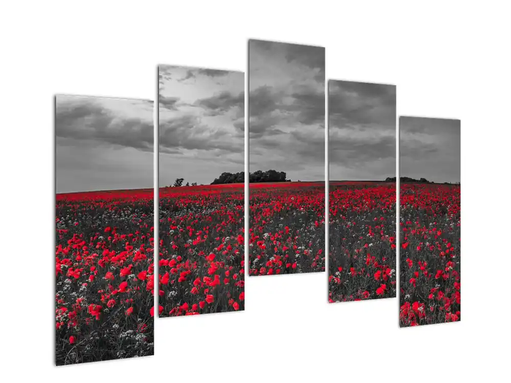 Schilderij - Klaprozen Kup teraz