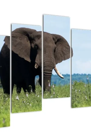 Schilderij - Olifant Promocja