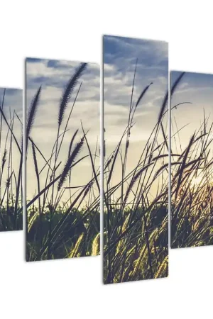 Darmowa dostawa Schilderij - Weidebloemen