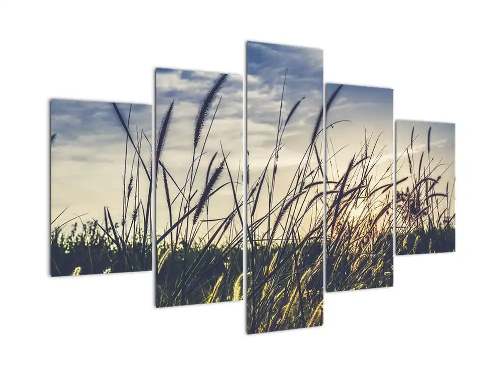 Darmowa dostawa Schilderij - Weidebloemen