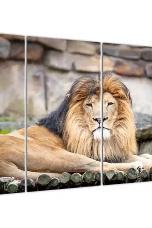 Oferta limitowana Schilderij - Leeuw