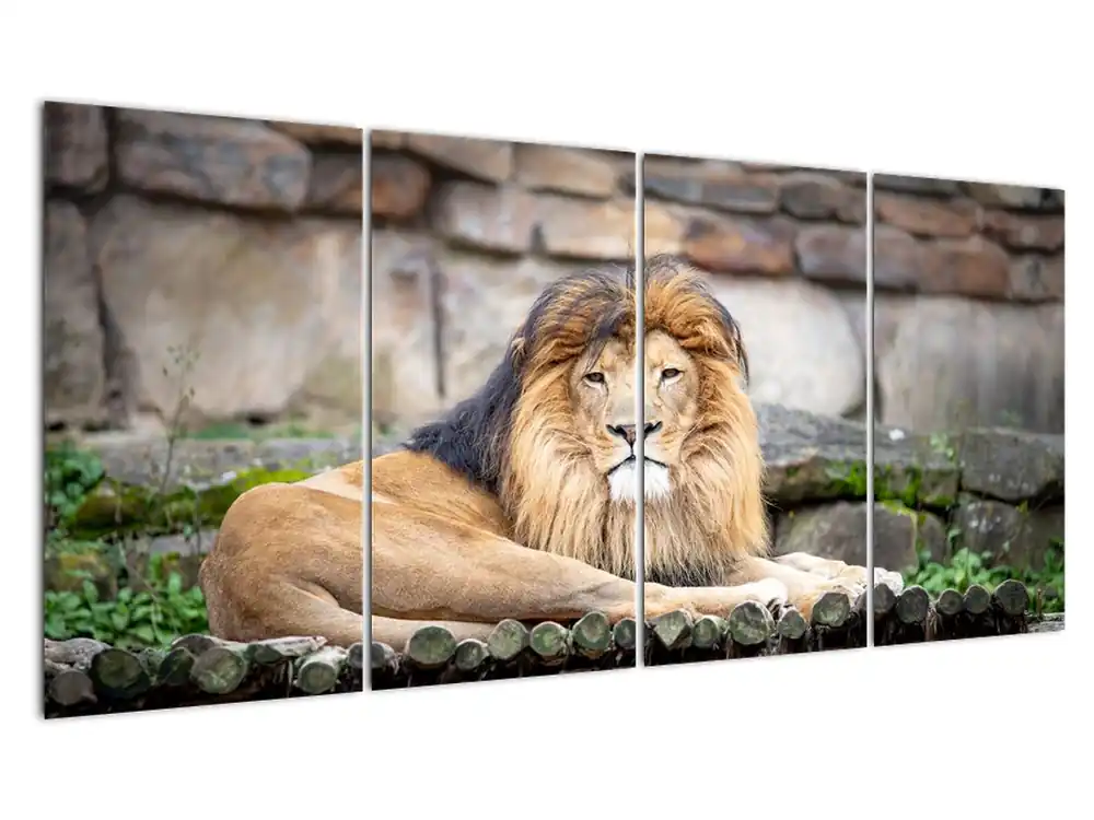 Oferta limitowana Schilderij - Leeuw