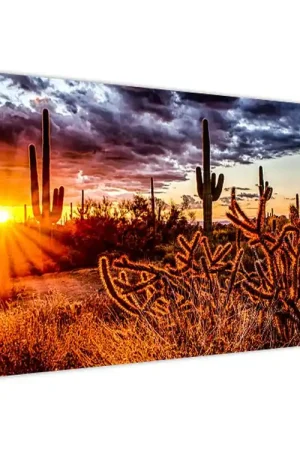 Popularny Schilderij - Gouden uur in de woestijn