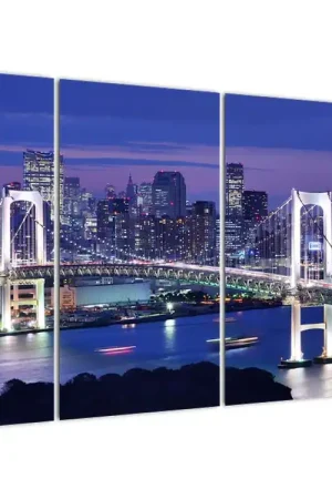 Schilderij - Grote stad bij nacht Premium