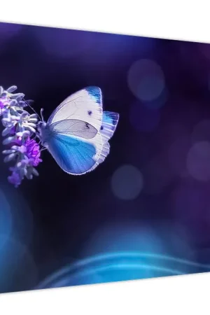 Niska cena Schilderij - Vlinders op lavendel