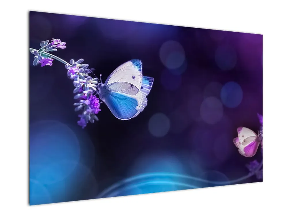 Niska cena Schilderij - Vlinders op lavendel
