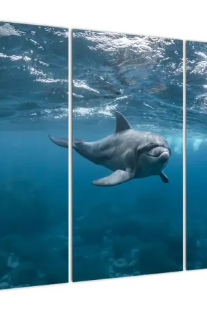 Autentyczny Schilderij - Dolfijn onder water