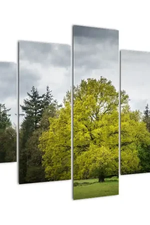 Schilderij - Groene boom op een veld Wyprzedaż