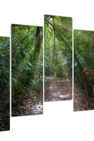 Zamów teraz Schilderij - Zonnestralen in de jungle