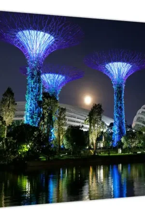Niska cena Schilderij - Volle maan boven de tuinen van Singapore