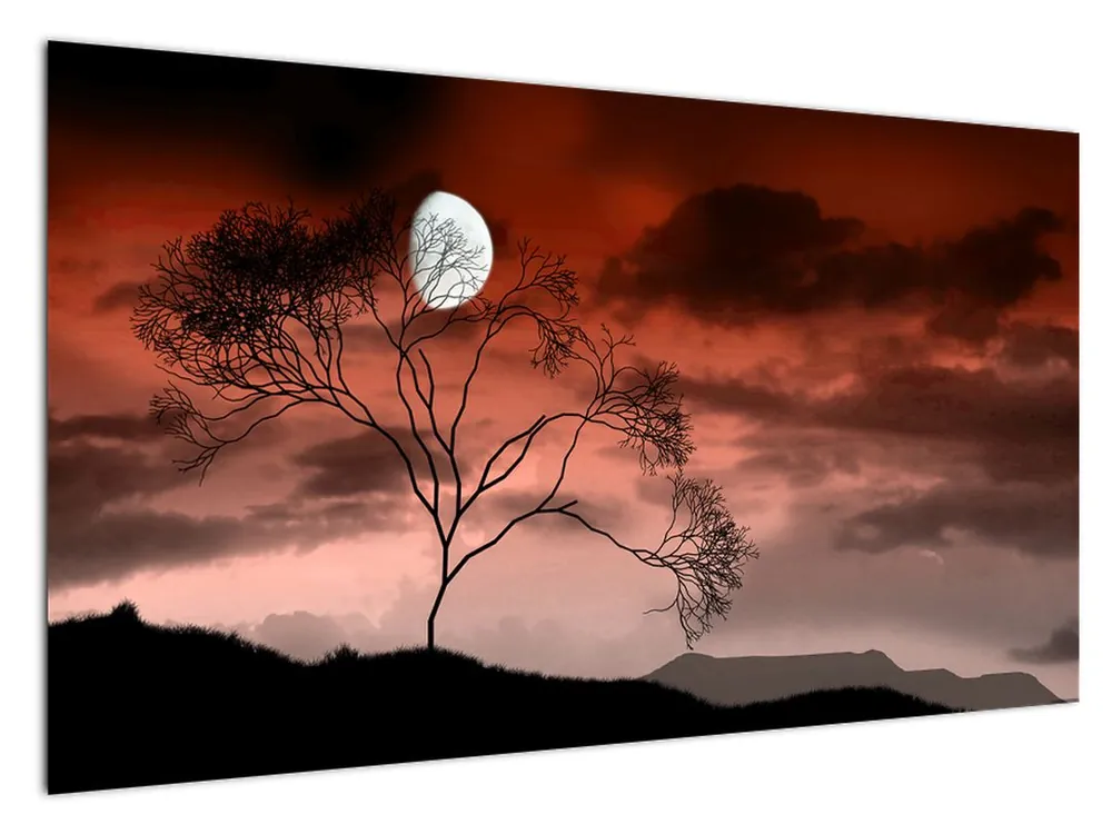 Popularny Schilderij - Maanlicht in de nacht