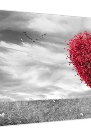 Schilderij - Hart als boomkruin Promocja