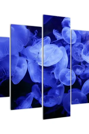 Rabat Schilderij - Kwallen