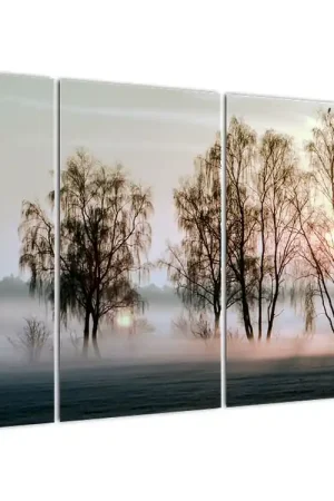 Promocja Schilderij - Ochtendkilheid