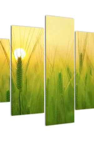 Najlepsza cena Schilderij - Graanveld