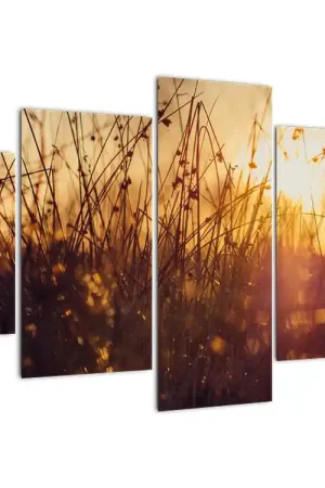 Schilderij - Veld bij zonsondergang Tani