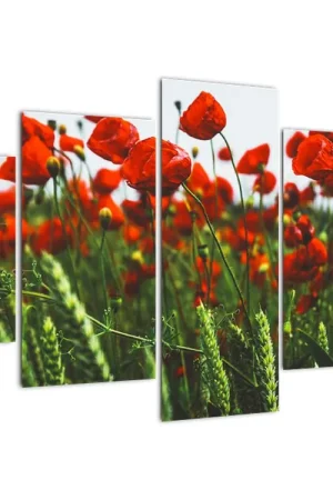 Oryginalny Schilderij - Klaprozen in de wind