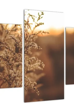 Schilderij - Gras in bloei Promocja