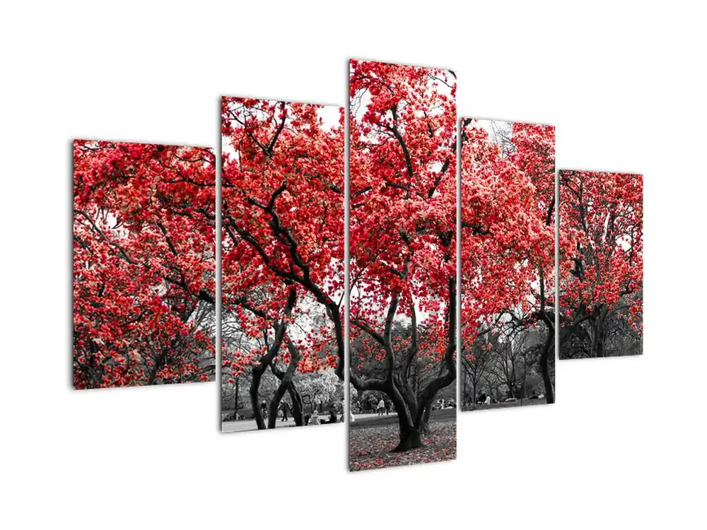 Schilderij - Rode bomen, Central Park, New York Oferta limitowana