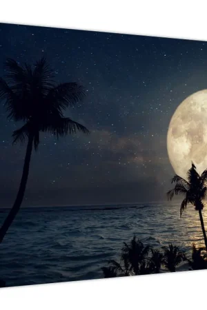 Kup teraz Schilderij - Strand bij volle maan