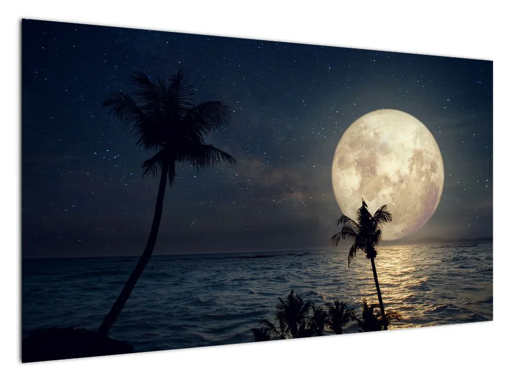 Kup teraz Schilderij - Strand bij volle maan