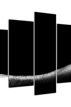 Najlepsza cena Schilderij - Naakt lichaam