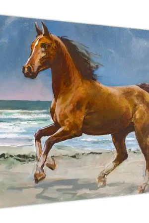 Schilderij - Paard op het strand Nowość