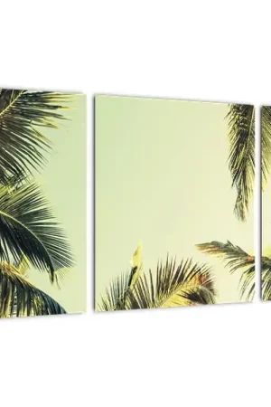 Nowość Schilderij - Kokospalmbomen