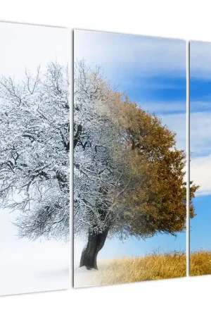 Promocja Schilderij - Veranderen van het seizoen