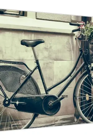 Ostatnia szansa Schilderij - Vintage fiets met bloemen