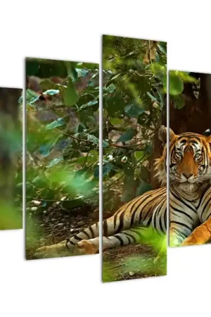 Oferta limitowana Schilderij - Rustende tijger