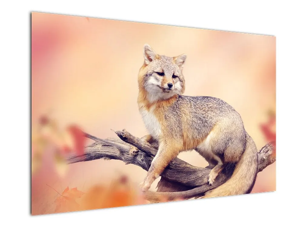 Schilderij - Vos Zamów teraz