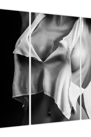 Ekspresowa dostawa Schilderij - Naaktfoto van een vrouw