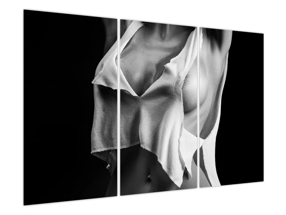 Ekspresowa dostawa Schilderij - Naaktfoto van een vrouw