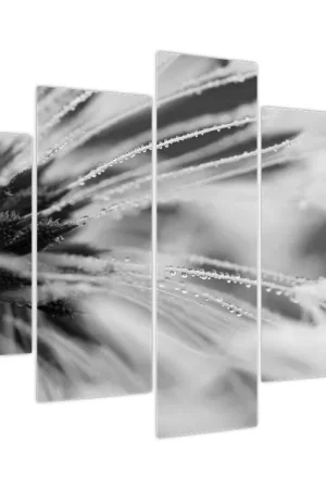 Oryginalny Schilderij - Makro, zwart-wit