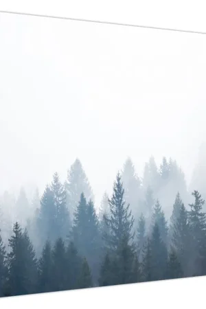 Bezpieczna płatność Schilderij - Mistig bos