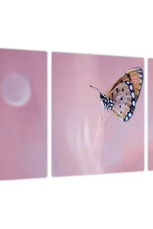 Tylko dziś Schilderij - Vlinder