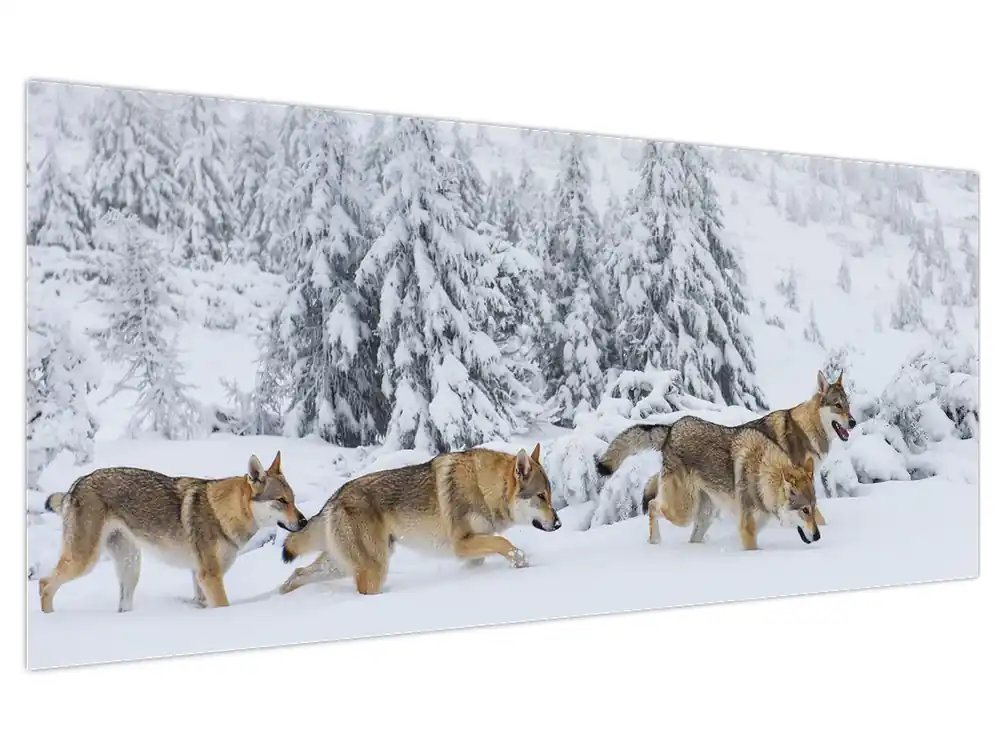Premium Schilderij - Wolven in de bergen