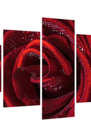 Premium Schilderij - Rode roos met dauwdruppels