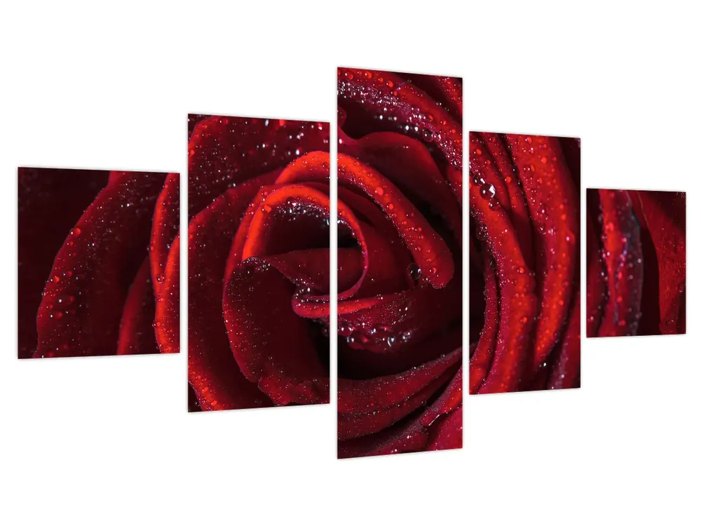 Premium Schilderij - Rode roos met dauwdruppels