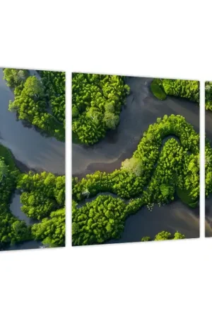 Schilderij - Boslandschap met rivier Nowość