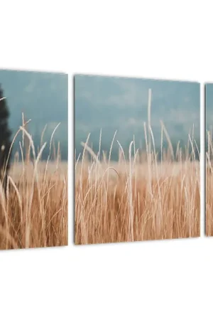 Schilderij - Weiland, detail Oferta