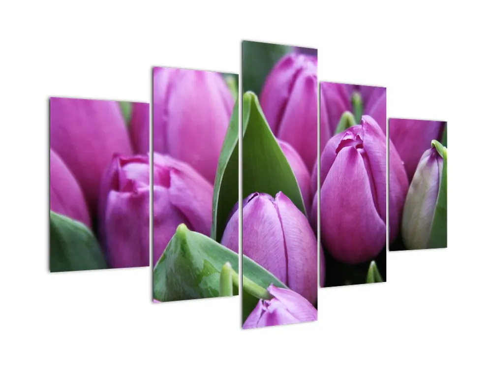 Promocja Schilderij - Tulpenbloesems